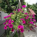 Old Town Apartman Sarajevo