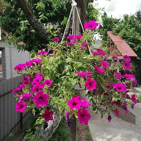 老城公寓 公寓 塞拉耶佛