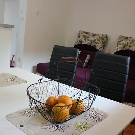 老城公寓 塞拉耶佛